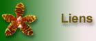 Liens