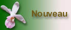 Nouveautés : cette page.